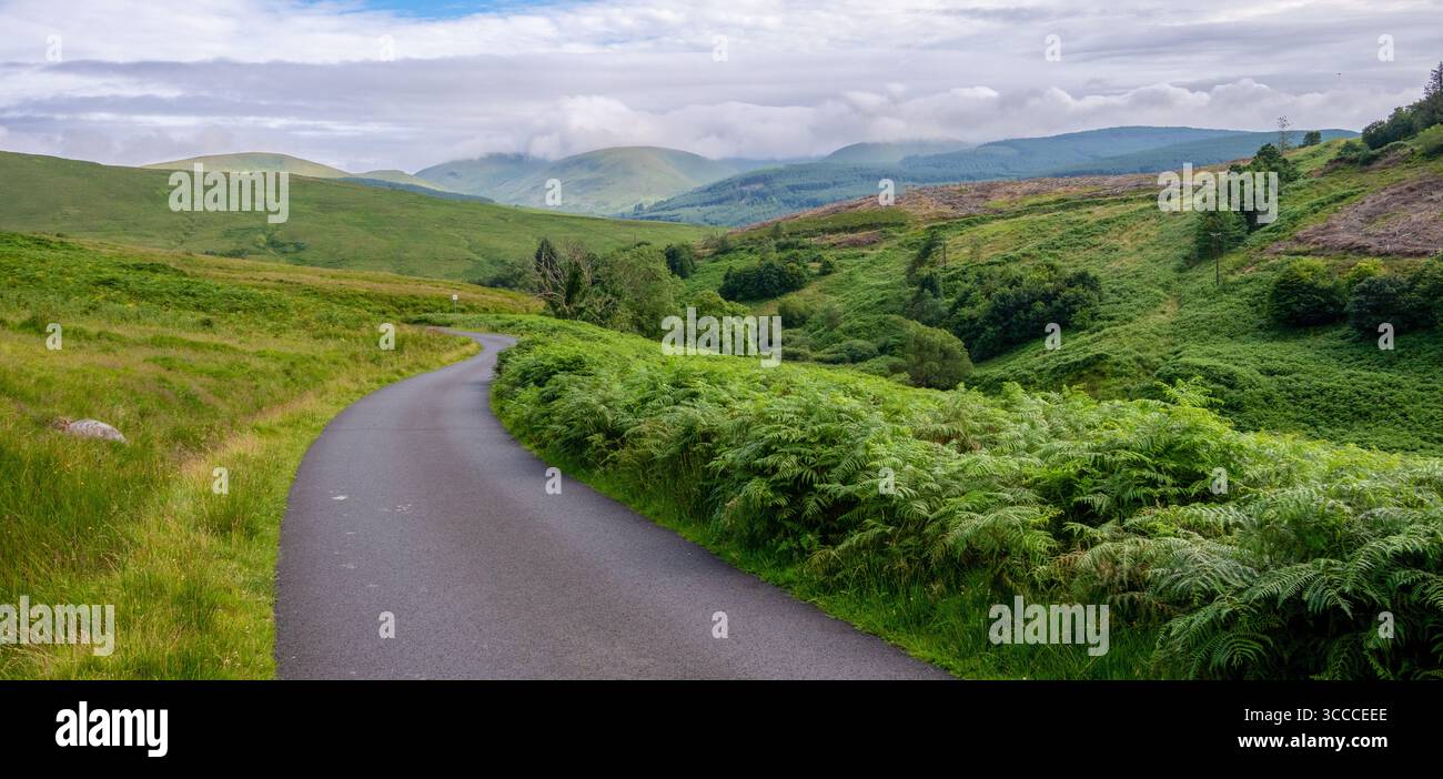 Paysage de campagne de Dumfries et Galloway, Écosse. Banque D'Images