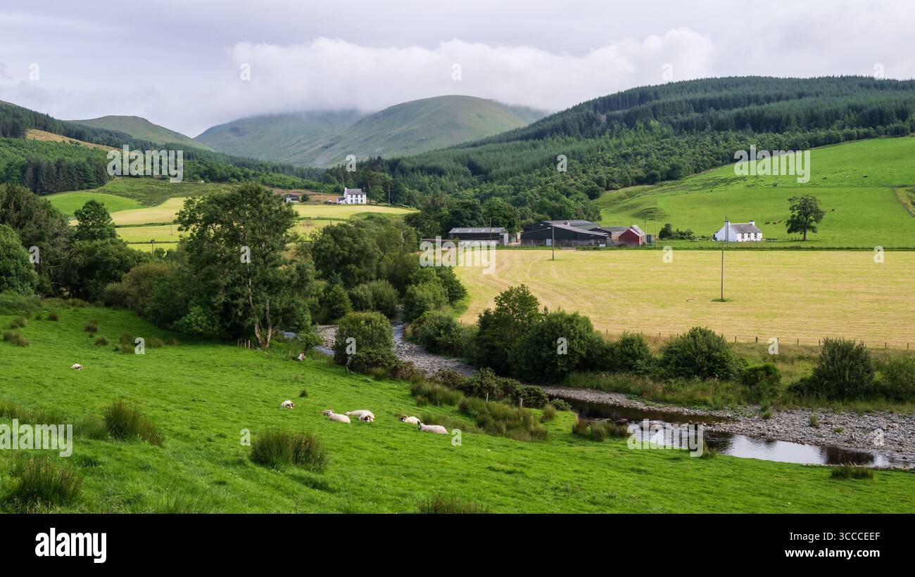 Paysage de campagne de Dumfries et Galloway, Écosse. Banque D'Images
