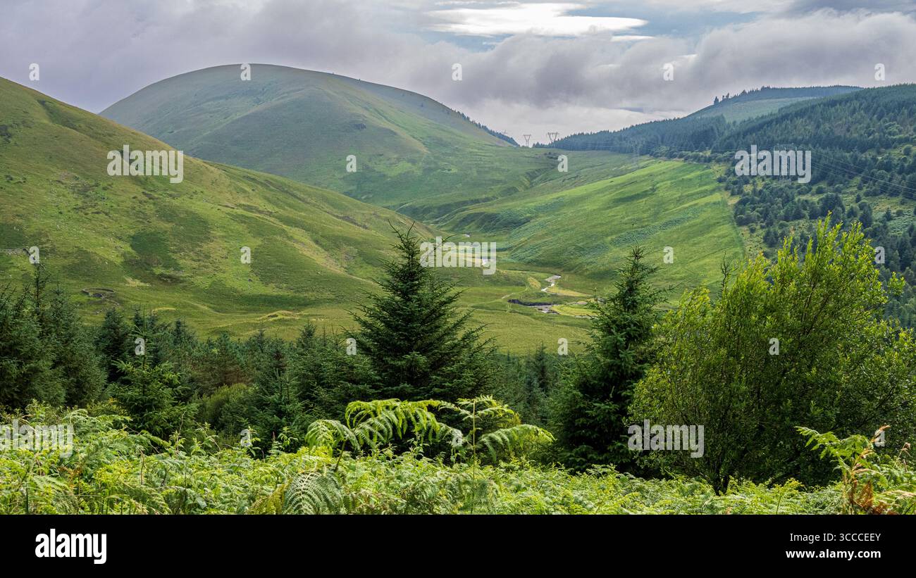 Paysage de campagne de Dumfries et Galloway, Écosse. Banque D'Images