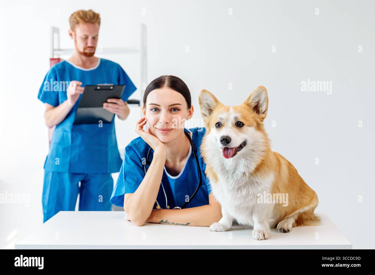 Vétérinaire femelle en gommages bleus, sourit avec un chien corgi à côté d'elle, tandis que l'assistant masculin prend des notes dans un clin vétérinaire lumineux et accueillant Banque D'Images