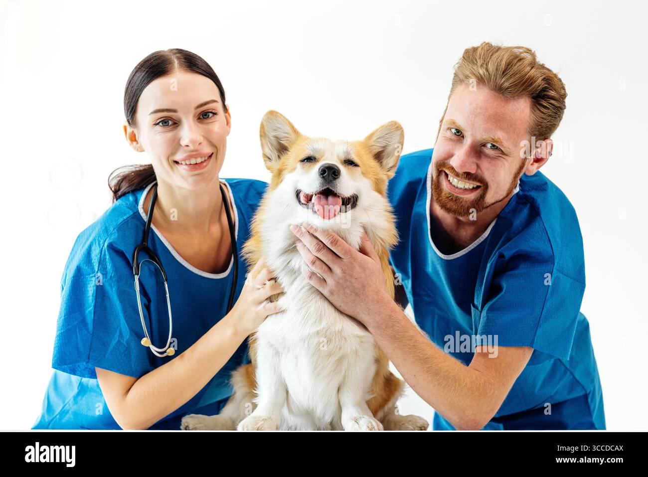 Les vétérinaires sourient avec un chien Corgi dans une clinique vétérinaire, portent des gommages et des stéthoscopes, créant un environnement chaleureux et professionnel pour p Banque D'Images