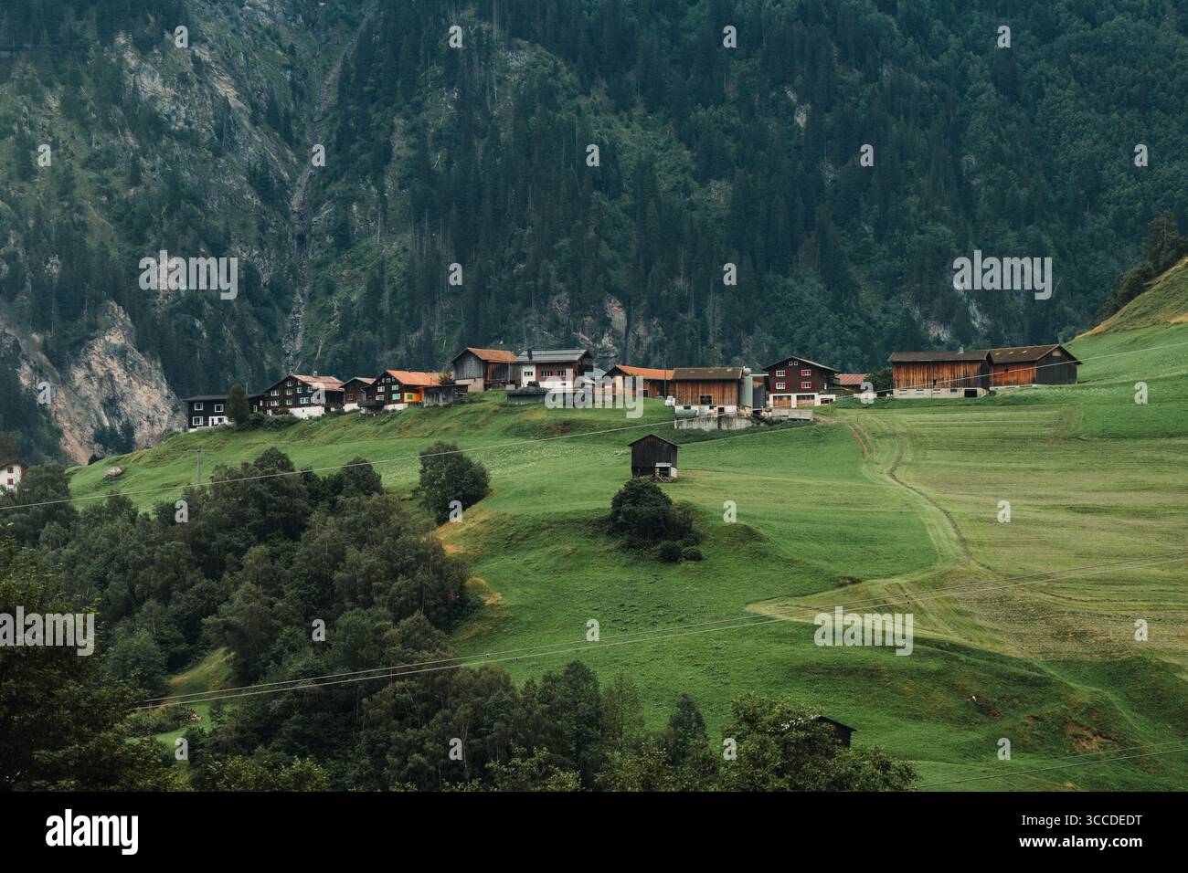 Village alpin de chalets en bois sur des pentes verdoyantes Banque D'Images