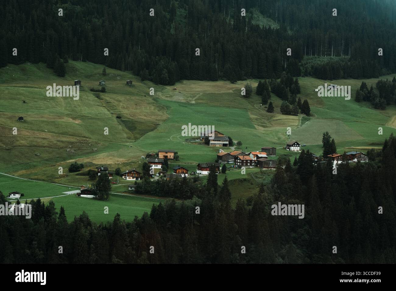 Chalets sur une colline alpine verte Banque D'Images