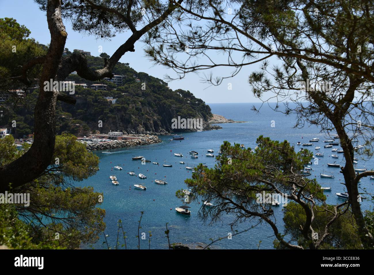 Vue de la ville pittoresque de Llafranc sur la Costa Brava espagnole vu du sentier côtier à Palafrugell Banque D'Images
