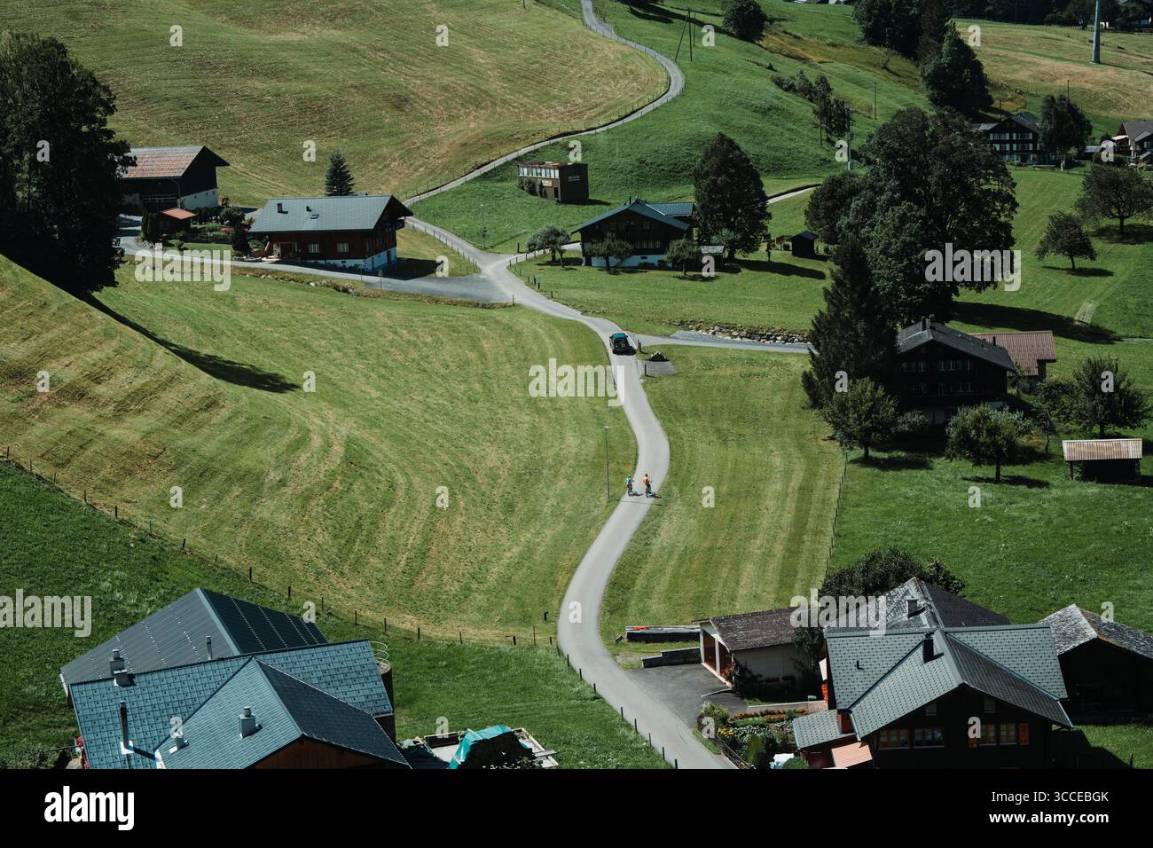 Prairies alpines avec chalets et un sentier sinueux, Oberland bernois, Suisse Banque D'Images
