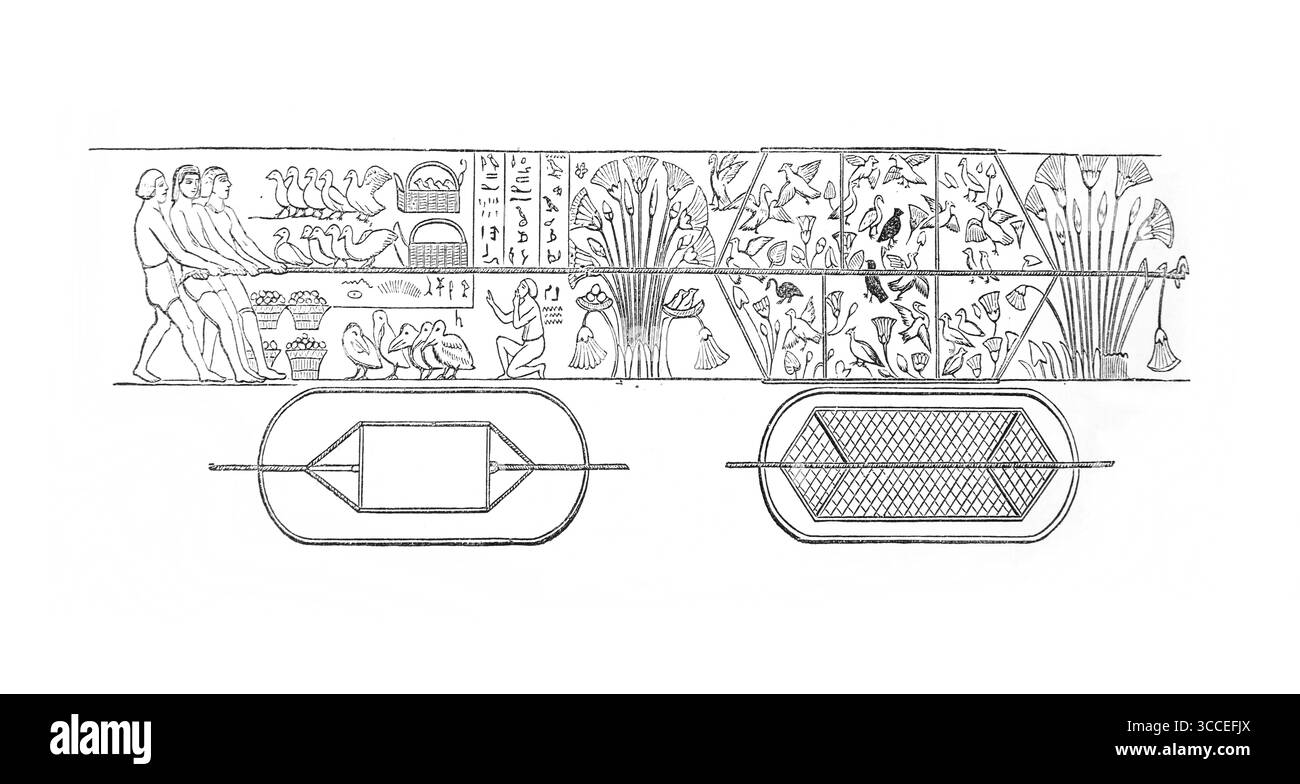 Illustration de ProverbsI.17 Art égyptien représentant des oiseaux qui volent de l'ancien XIXe siècle la Sainte Bible contenant l'ancien et le Nouveau Testament avec Banque D'Images