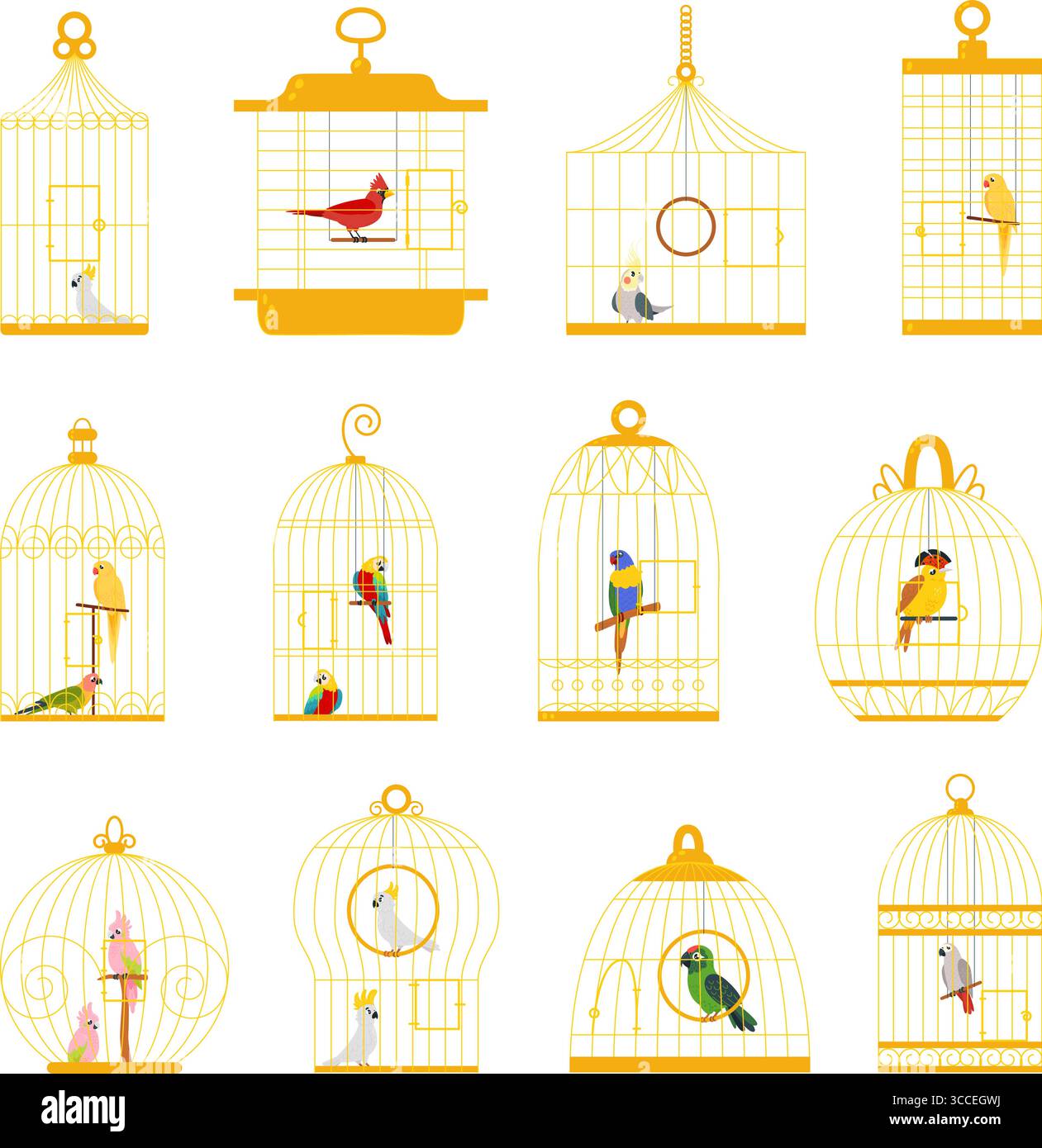 Oiseaux en cages. Oiseau de dessin animé dans la cage dorée, décoratif de différents animaux. Perroquets cockatoo cardinal, personnages volants exotiques ensemble vectoriel classe Illustration de Vecteur