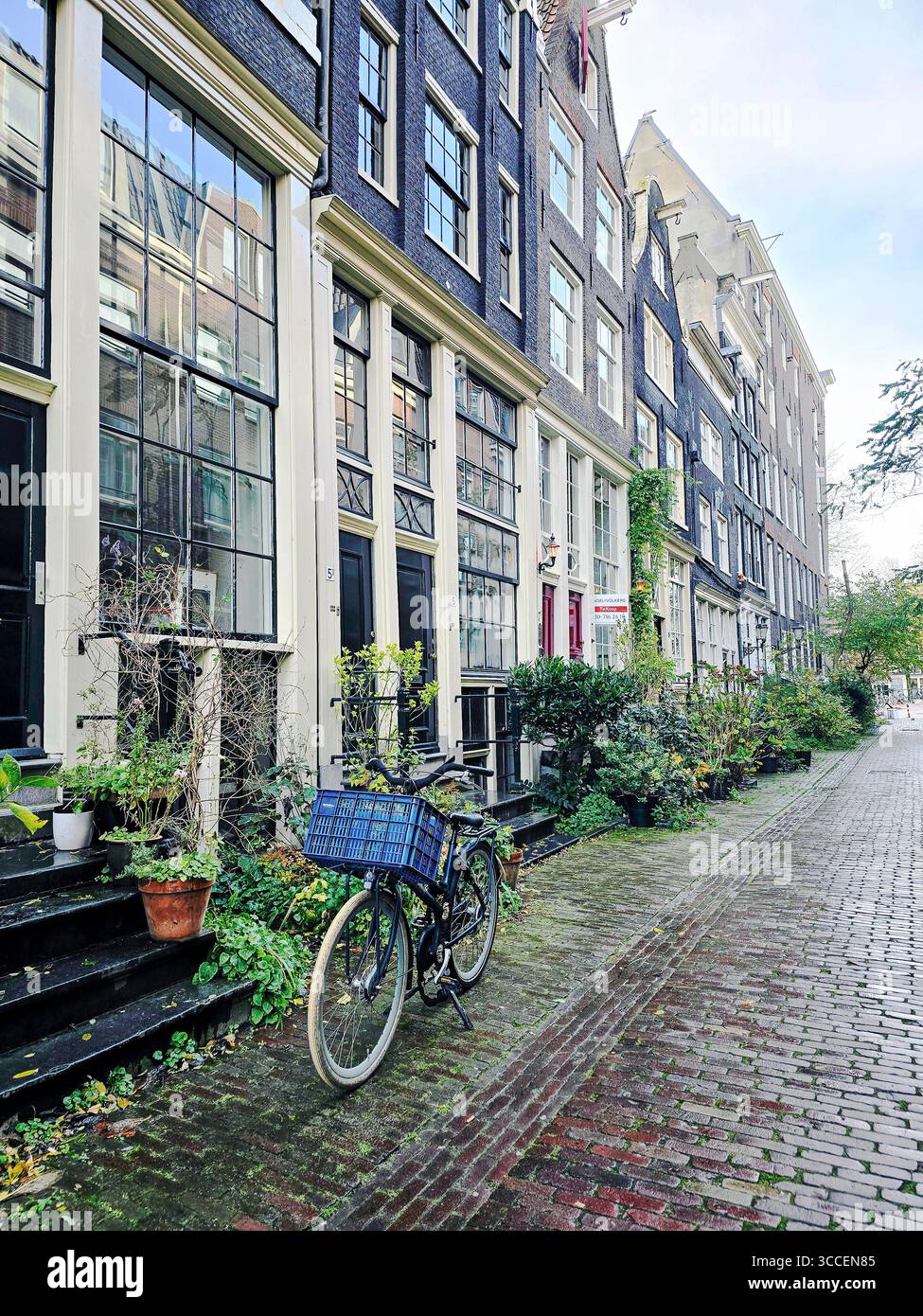 Scène d'automne à Amsterdam avec des feuilles dorées le long d'un canal bordé de maisons hollandaises traditionnelles, pays-Bas. - Image de stock capturée avec un smartphone