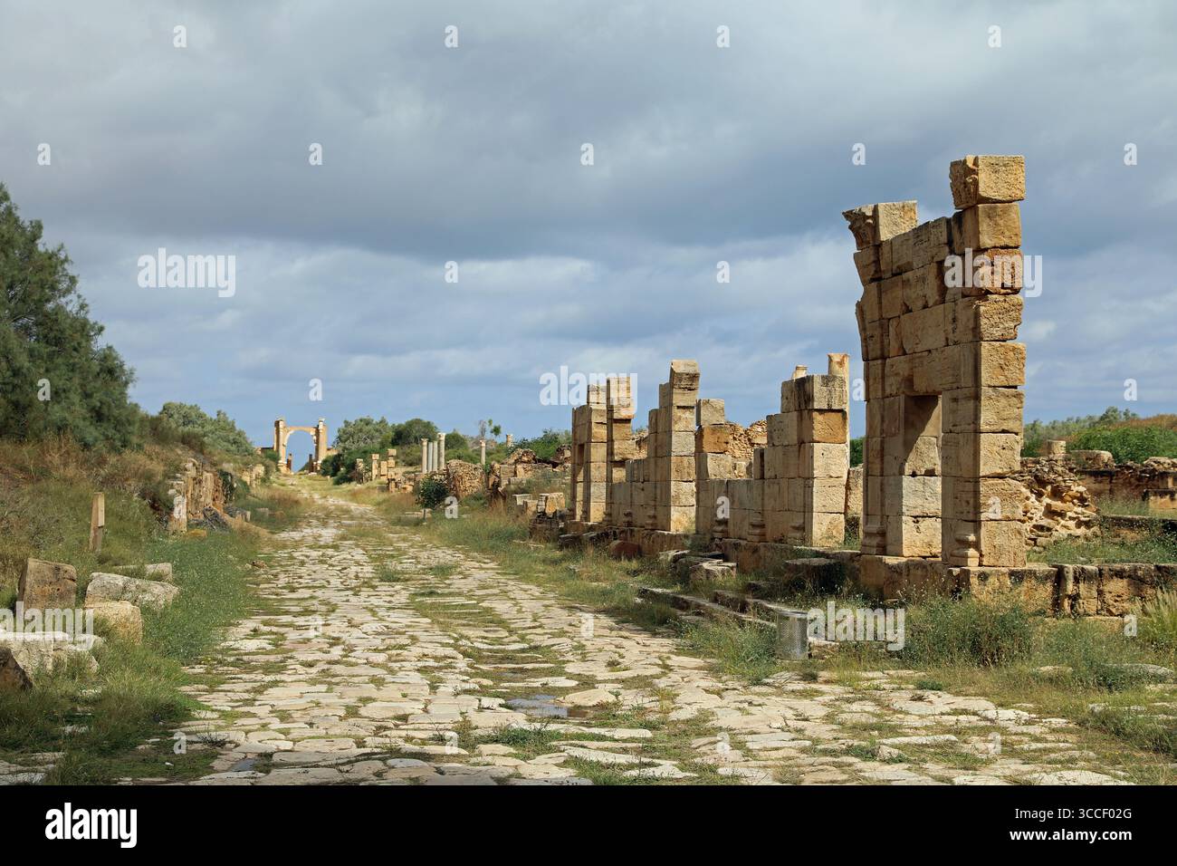 Voie romaine menant à l'Arc de Trajan à Leptis Magna en Libye Banque D'Images