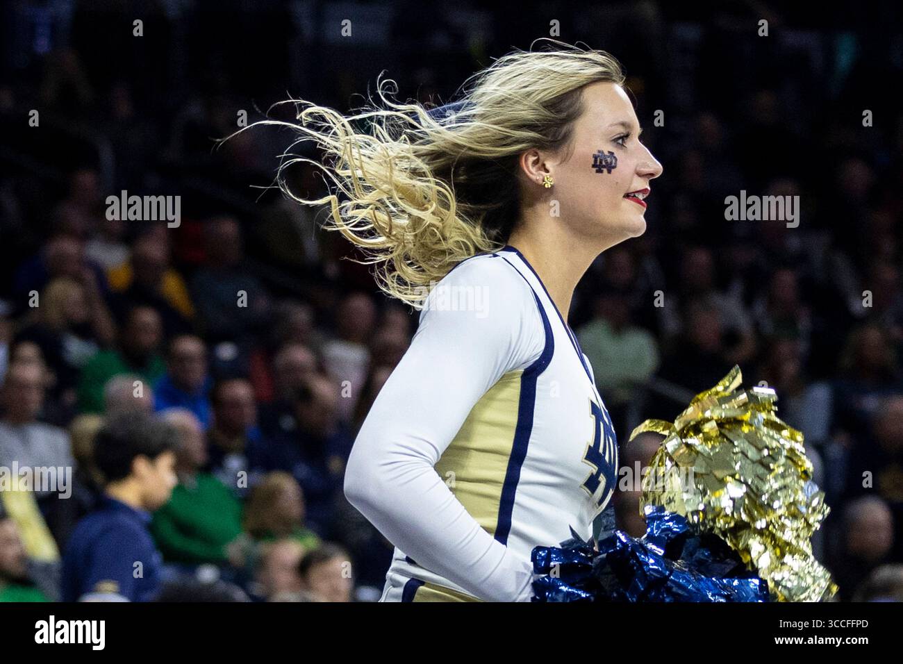 11 décembre 2022 : notre Dame Cheerleader se produit lors d'un match de basket-ball NCAA entre les Marquette Golden Eagles et notre Dame Fighting Irish au Purcell Pavilion au Joyce Center à South Bend, Indiana. Marquette bat notre Dame 79-64. John Mersits/CSM. (Crédit image : © John Mersits/CSM via ZUMA Press Wire) Banque D'Images