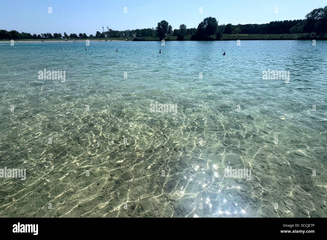 Munich, Deutschland. 11 août 2025. Lacs de baignade de Bavière avec une excellente qualité d'eau, comme ici à Riemer See (Buga See) dans Messestadt Riem à Munich. Crédit : dpa/Alamy Live News Banque D'Images