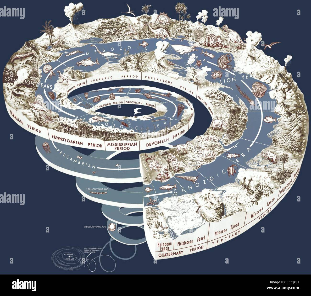 Diagramme en spirale illustré de l'échelle de temps géologique, décrivant l'histoire de la Terre du Précambrien à nos jours, y compris les périodes majeures, les époques et les événements clés de l'évolution. Banque D'Images