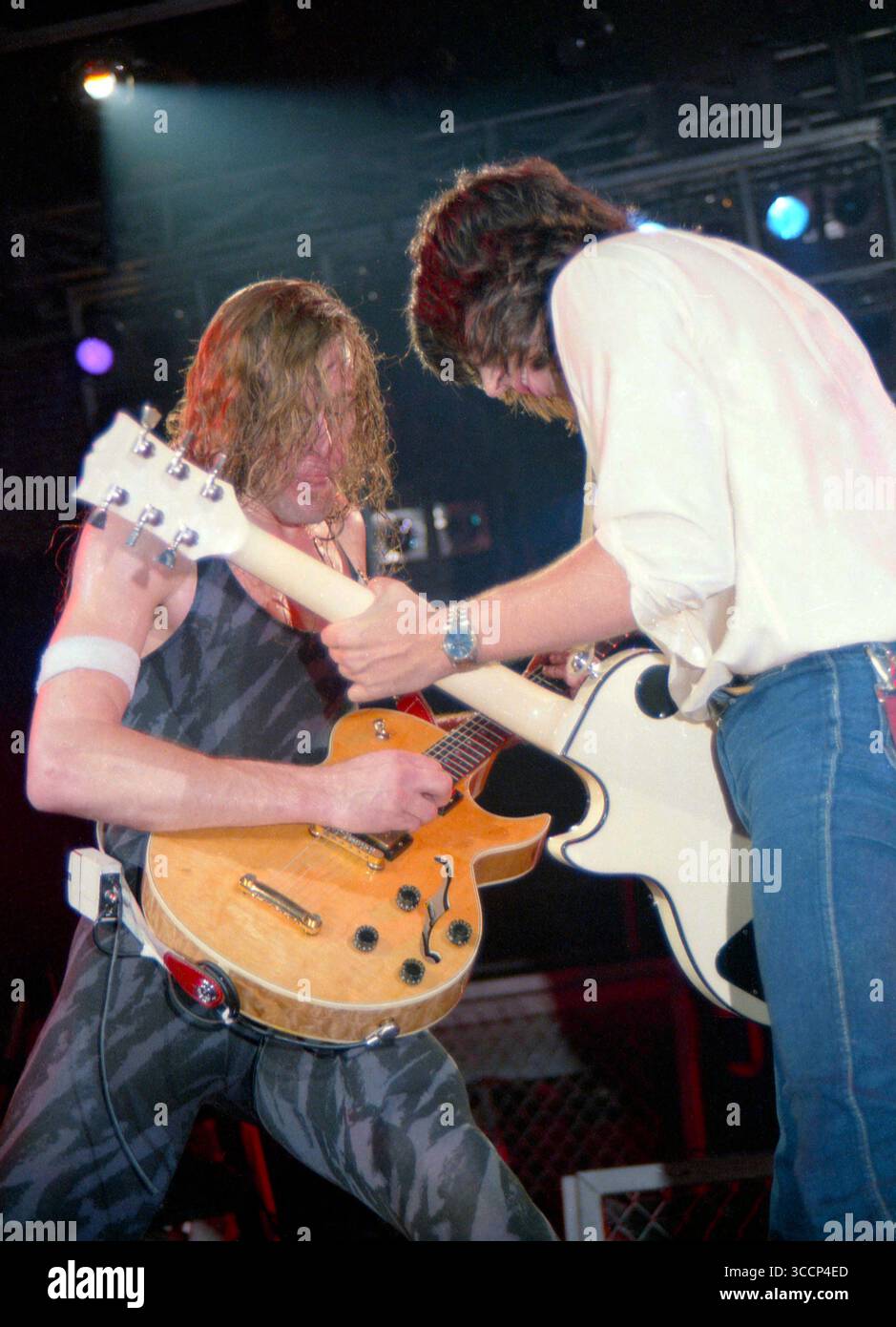 Fern Park, Floride, États-Unis : TED NUGENT & PAT TRAVERS-Orlando Jai Alai Fronton-14 avril 1984 (crédit image : © Christopher Helton via ZUMA Press Wire) Banque D'Images