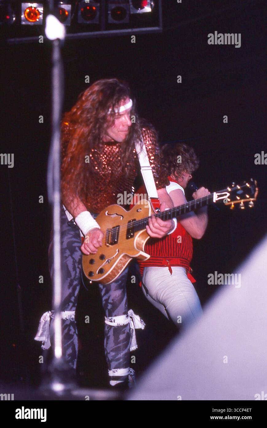 Fern Park, Floride, États-Unis : TED NUGENT-BRIAN HOWE performig pendant le ''Penetrator Tour''-Orlando Jai Alai Fronton-14 avril 1984 (image crédit : © Christopher Helton via ZUMA Press Wire) Banque D'Images