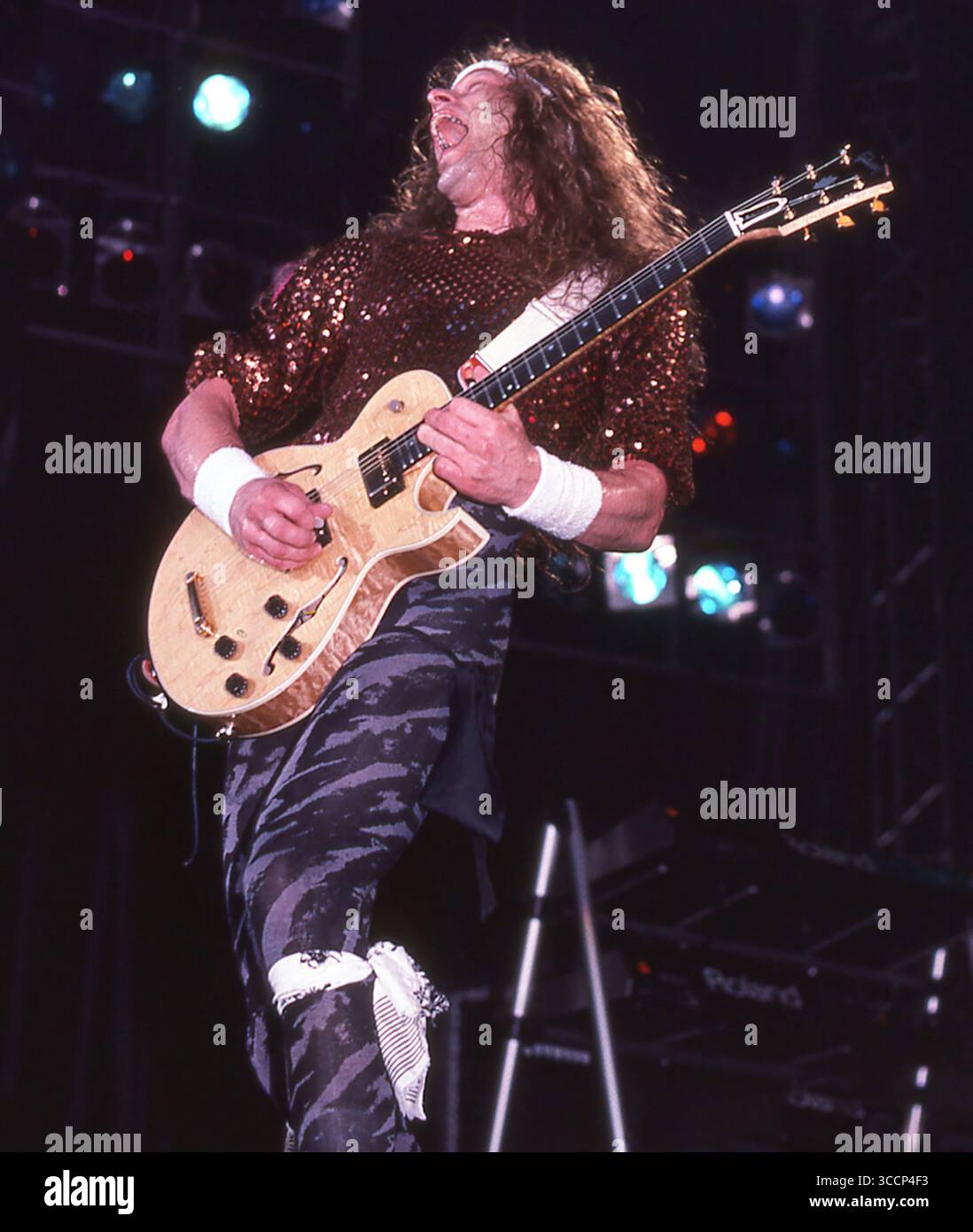 Fern Park, Floride, États-Unis : TED NUGENT-BRIAN HOWE performig pendant le ''Penetrator Tour''-Orlando Jai Alai Fronton-14 avril 1984 (image crédit : © Christopher Helton via ZUMA Press Wire) Banque D'Images