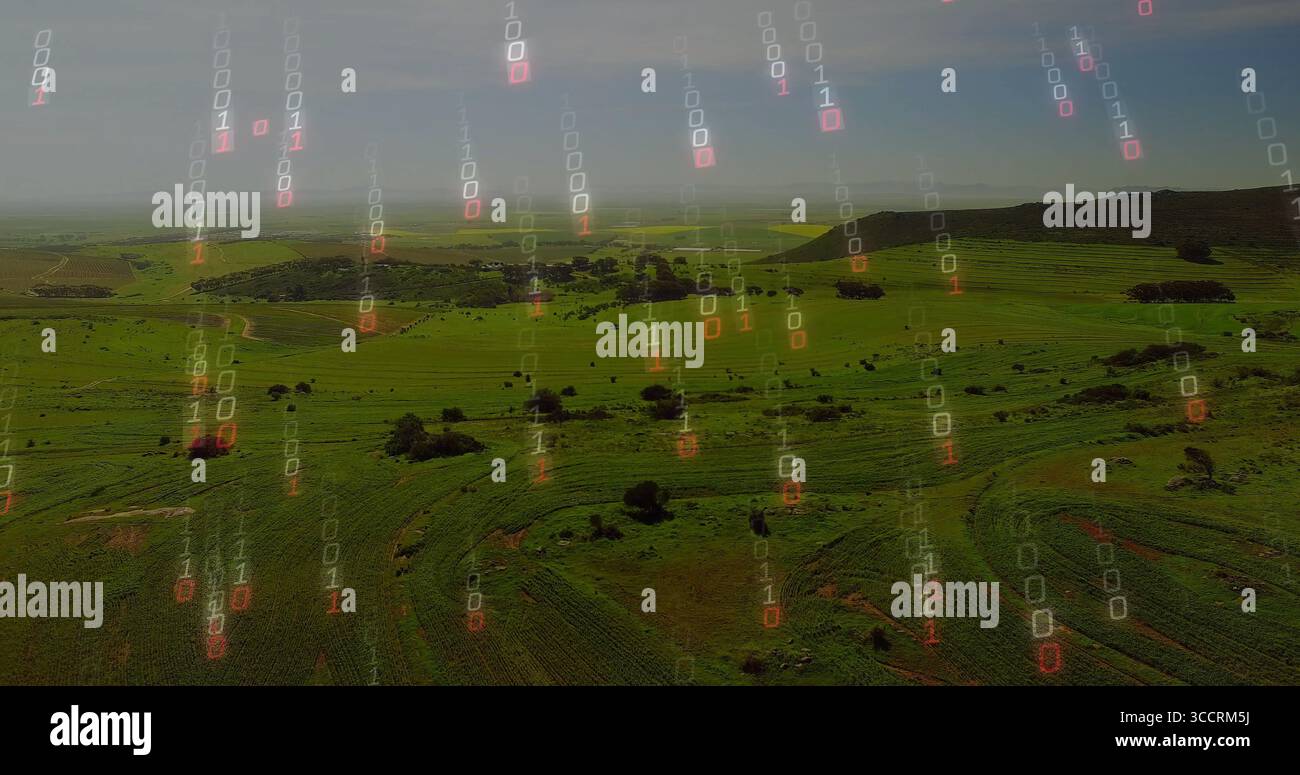 Montrant des terres agricoles aériennes avec des rangées de cultures se déployant sur des collines ondulantes, avec superposition de code binaire Banque D'Images