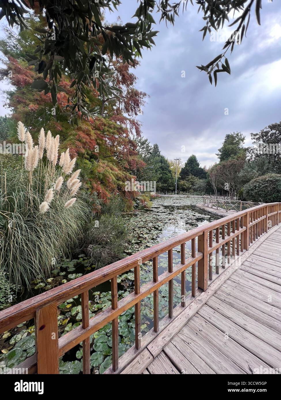 Un pont en bois sur un étang avec des nénuphars et des arbres d'automne dans le jardin de fleurs d'Ispahan, Iran. Banque D'Images