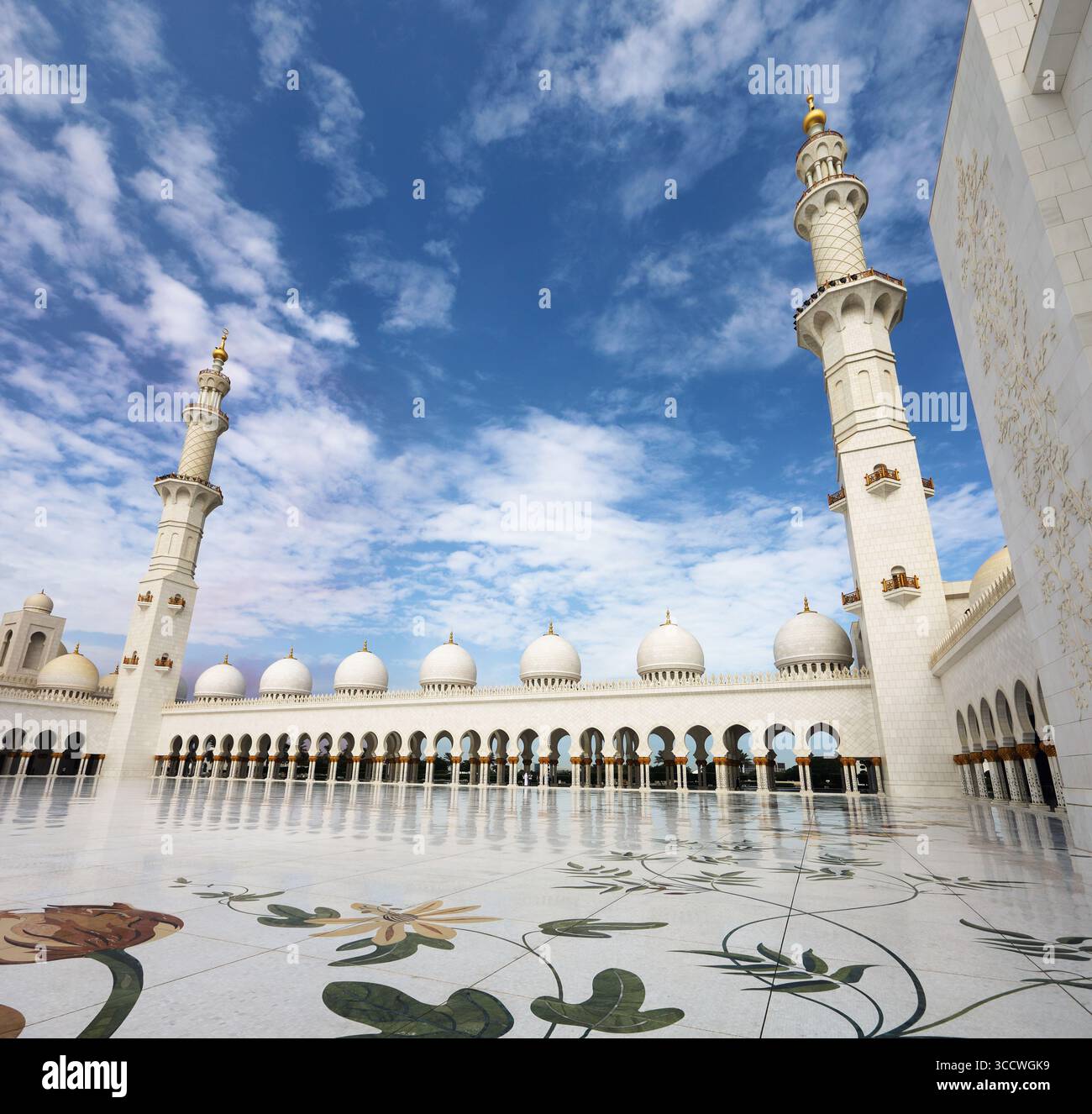 Panorama de la belle mosquée Sheikh Zayed à Abu Dhabi Banque D'Images