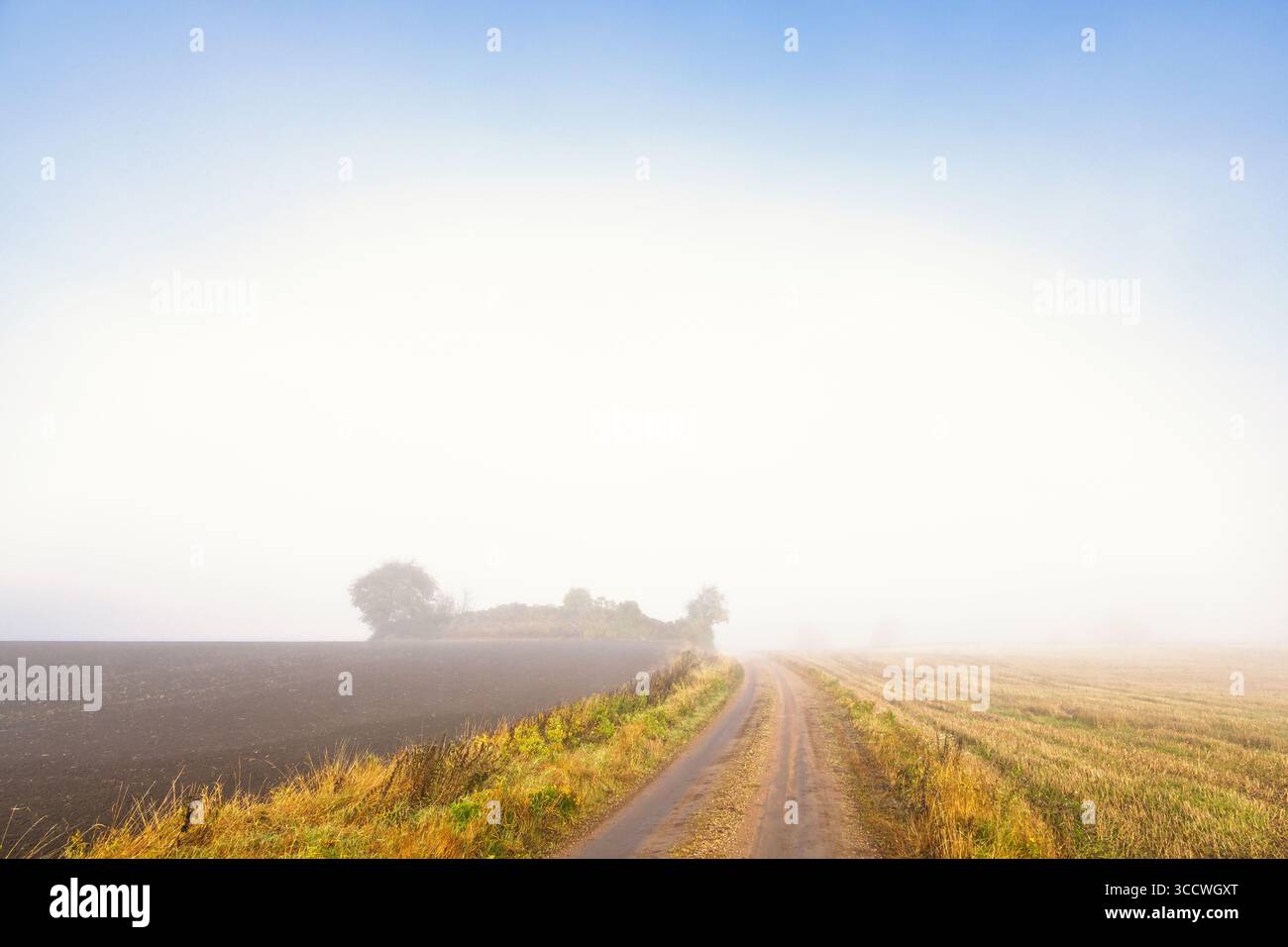 Chemin de terre à travers les champs sur un matin d'automne brumeux Banque D'Images