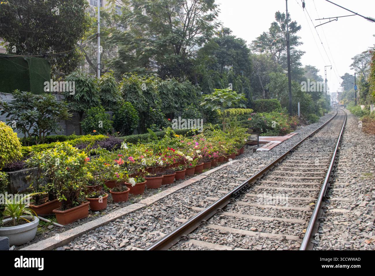 KOLKATA, BENGALE OCCIDENTAL, INDE - 15 FÉVRIER 2024 voies ferrées à côté du flotteur Polo Banque D'Images