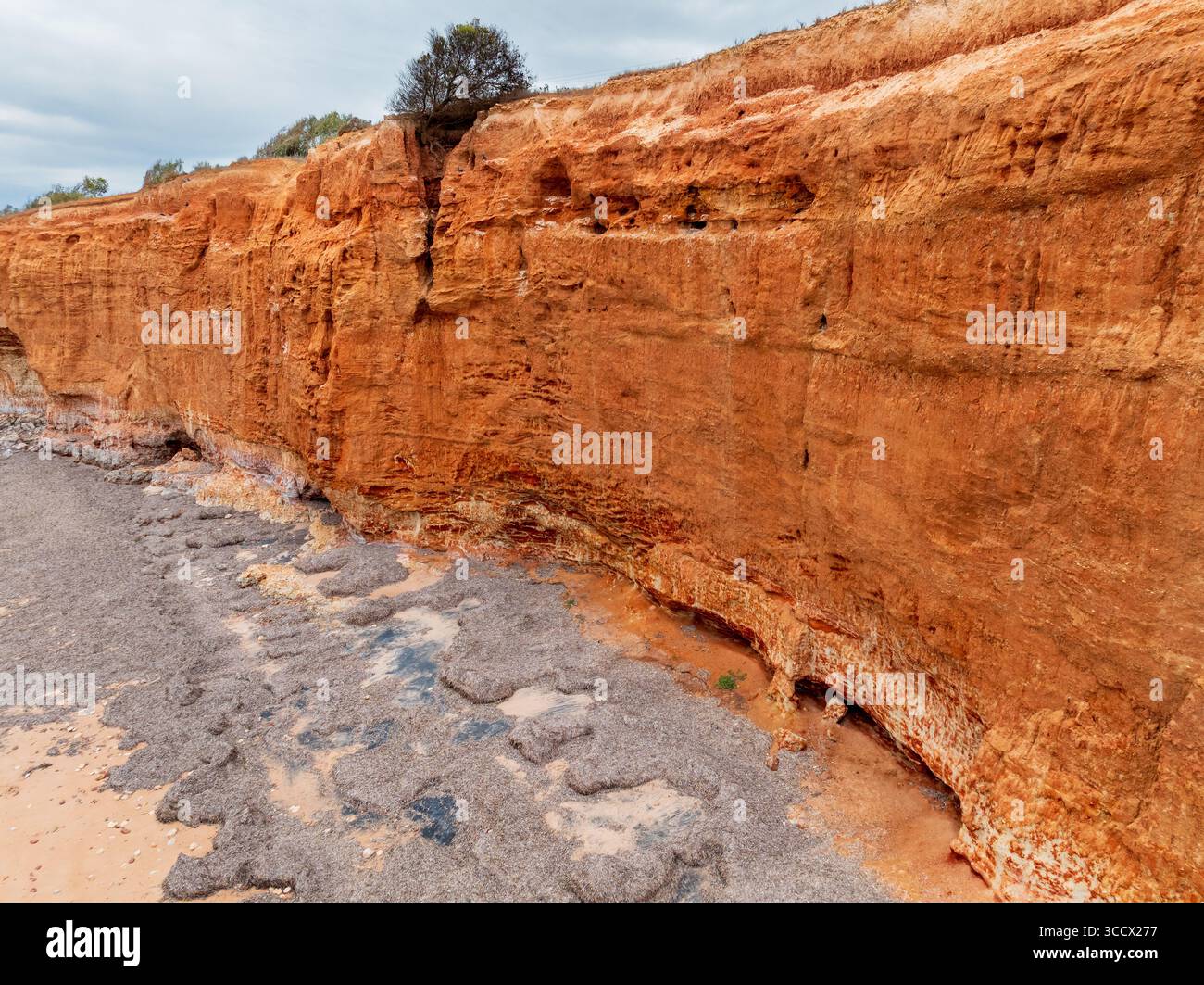 Vue aérienne le long d'une falaise abrupte avec des rochers et des algues sur la plage ci-dessous à Ardrossan sur la péninsule de Yorke en Australie méridionale. Banque D'Images