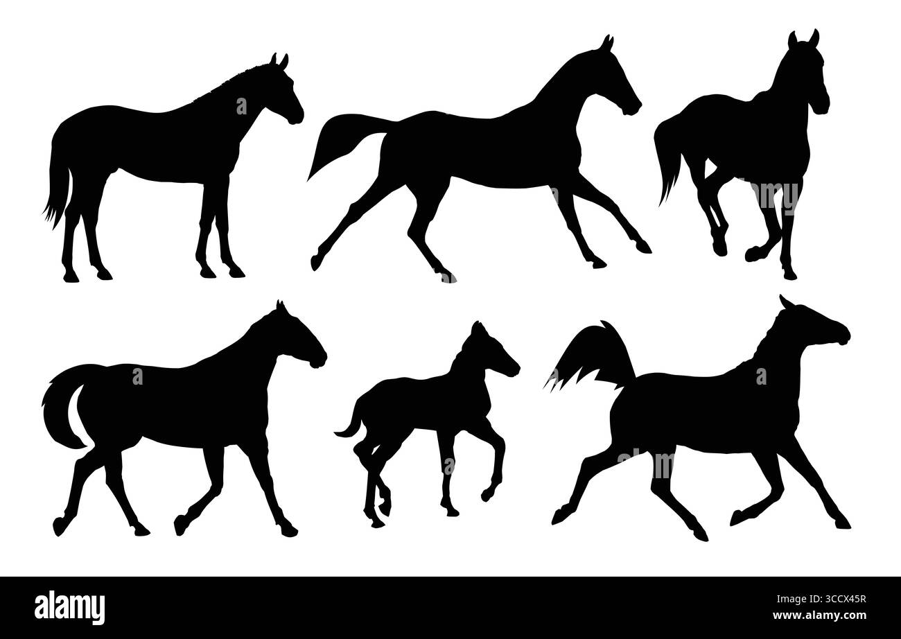 L'ensemble des silhouettes de chevaux. Illustration de Vecteur L'ensemble des silhouettes de chevaux. Illustration de Vecteur