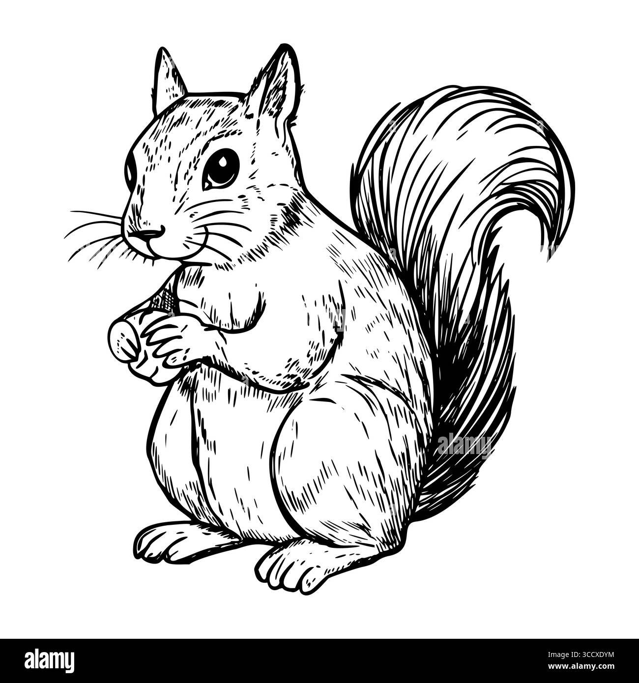 Une illustration détaillée d'un écureuil mignon debout. L'écureuil a une queue touffue et tient une noix dans ses pattes. Il présente de grands yeux Illustration de Vecteur
