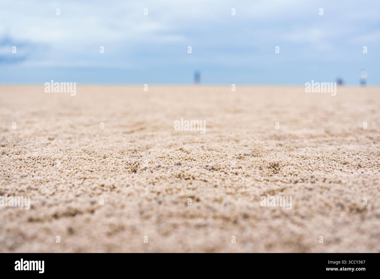 Motif naturel de crabe barboteur de sable fait des boules de sable sphériques recouvrant la plage sur le bord de mer Banque D'Images