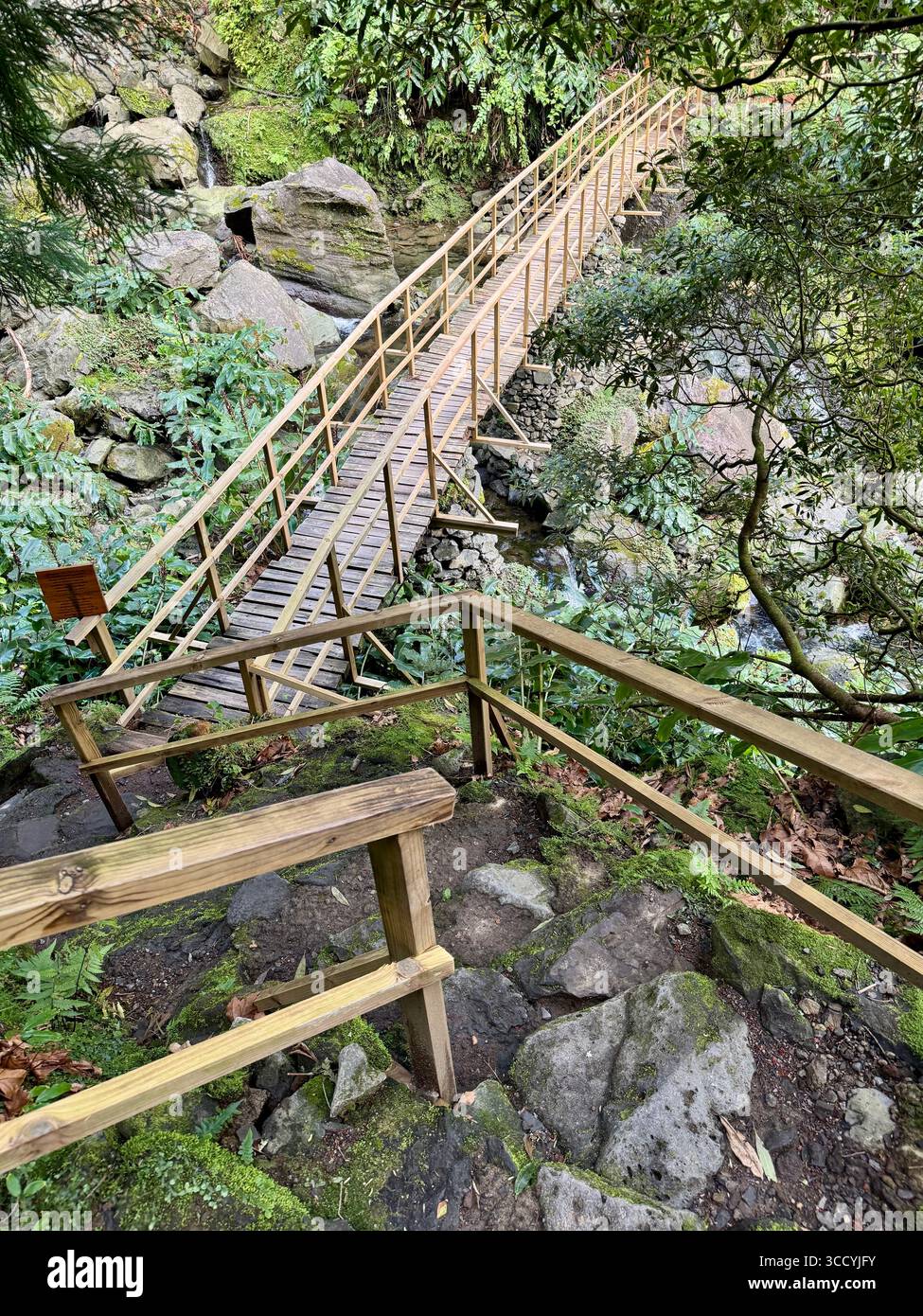 Sentier nature avec escaliers et verdure luxuriante dans le parc Grená, île de São Miguel, Açores, Portugal. Banque D'Images