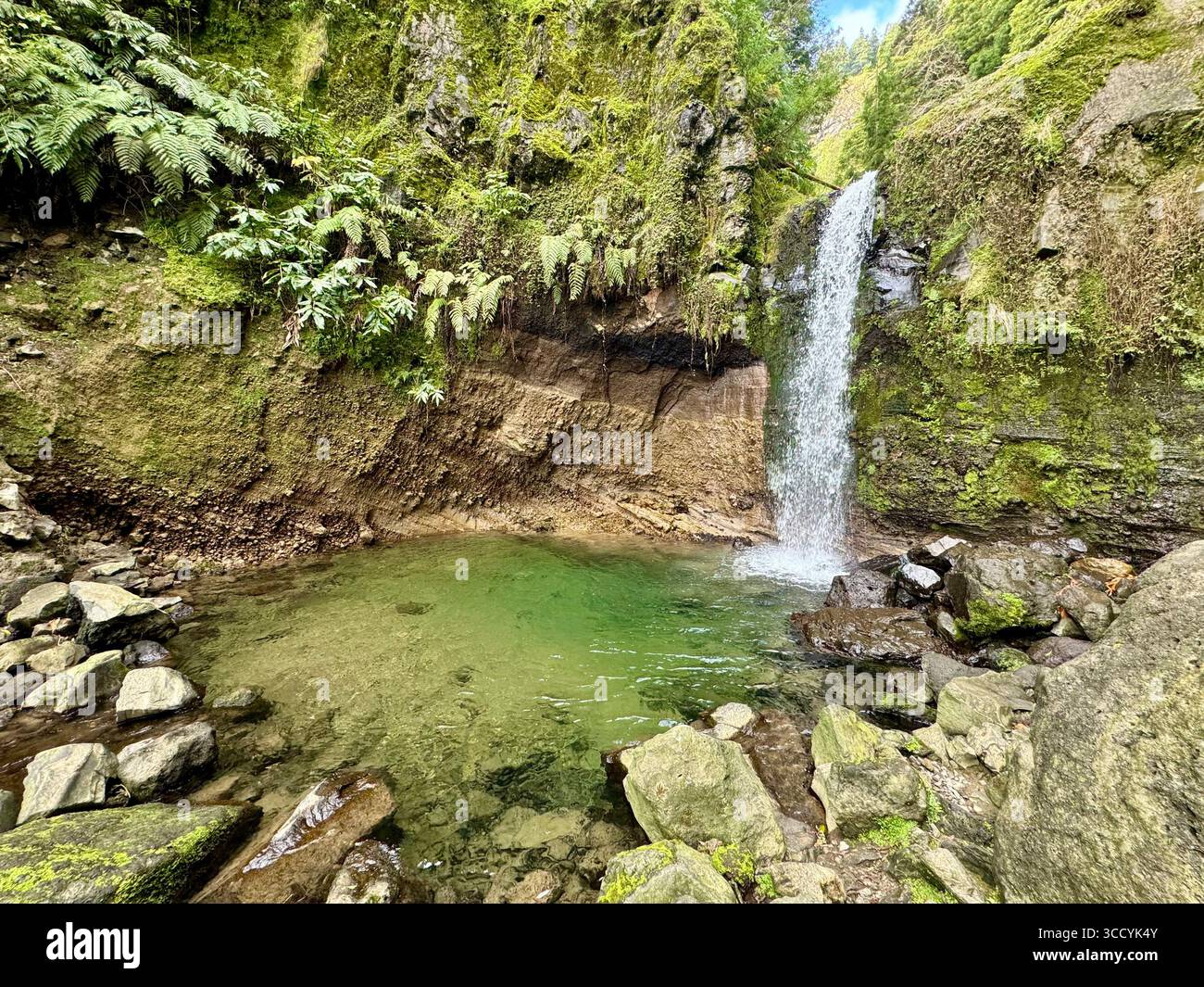 Cascade pittoresque descendant dans une piscine naturelle claire le long d'un sentier de randonnée au parc Grená, dans le paysage luxuriant des Açores, Portugal. Banque D'Images