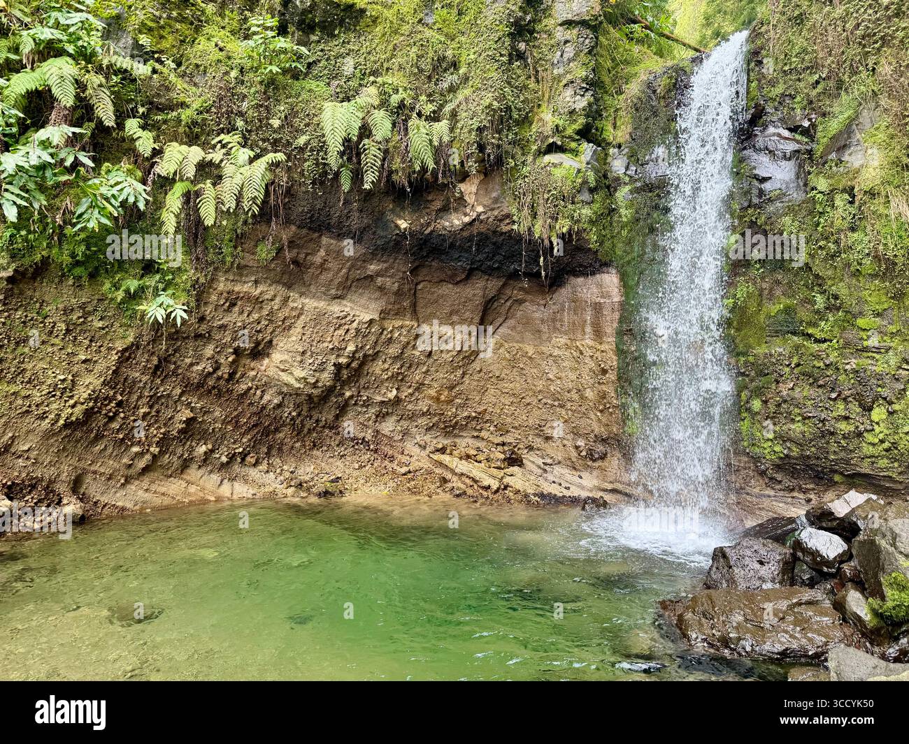 Cascade pittoresque descendant dans une piscine naturelle claire le long d'un sentier de randonnée au parc Grená, dans le paysage luxuriant des Açores, Portugal. Banque D'Images