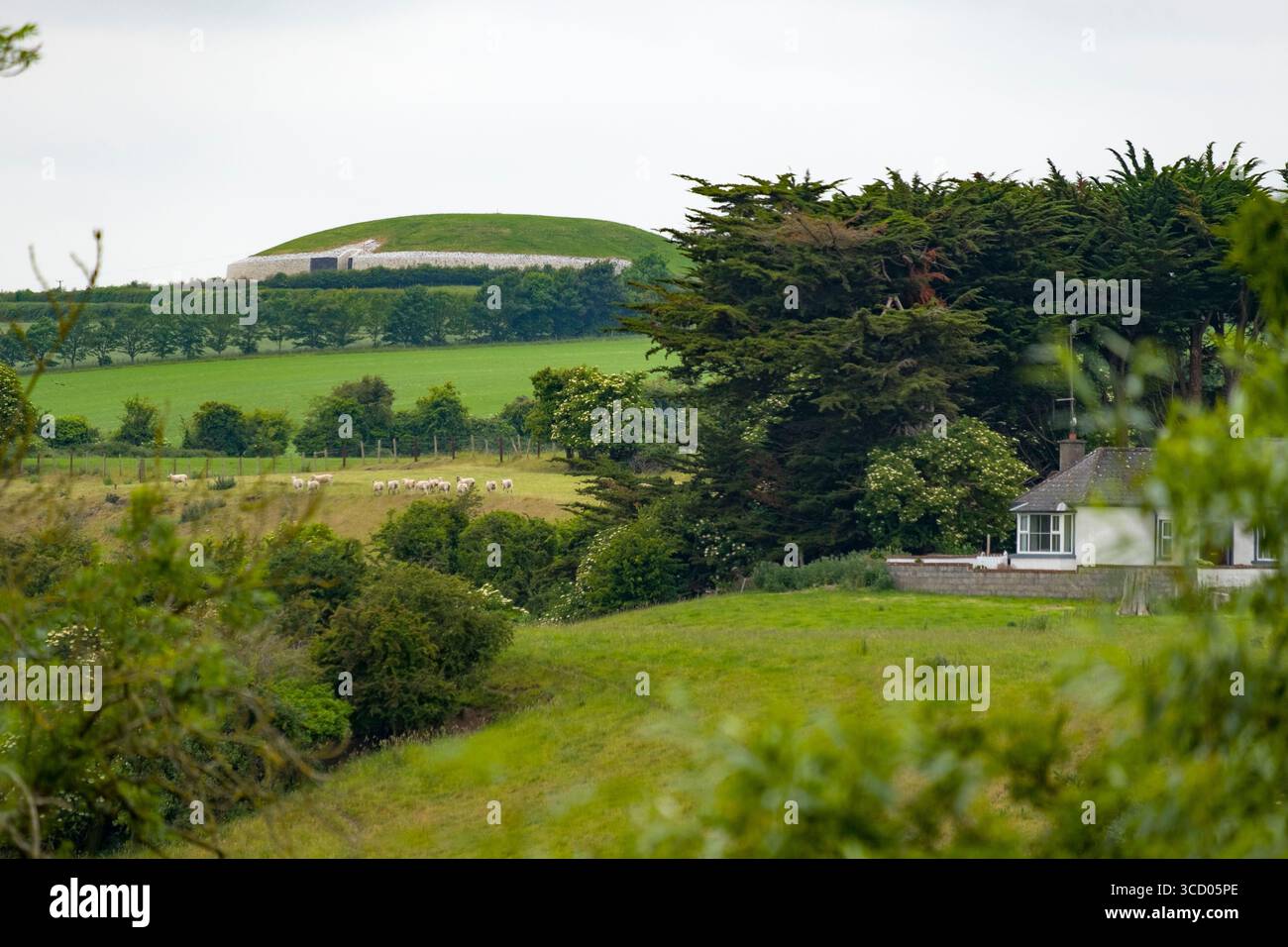 Vue du site préhistorique de Newgrange depuis Brú na Bóinne, Newgrange and Knowth Visitor Centre, Stalleen, County Meath, Irlande Banque D'Images