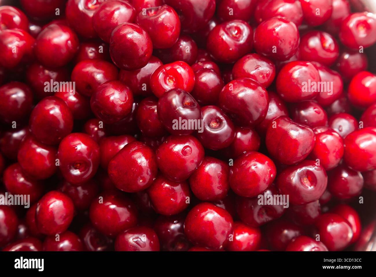 Tas de cerises douces rouges mûres, gros plan. Fond de cerise. Banque D'Images