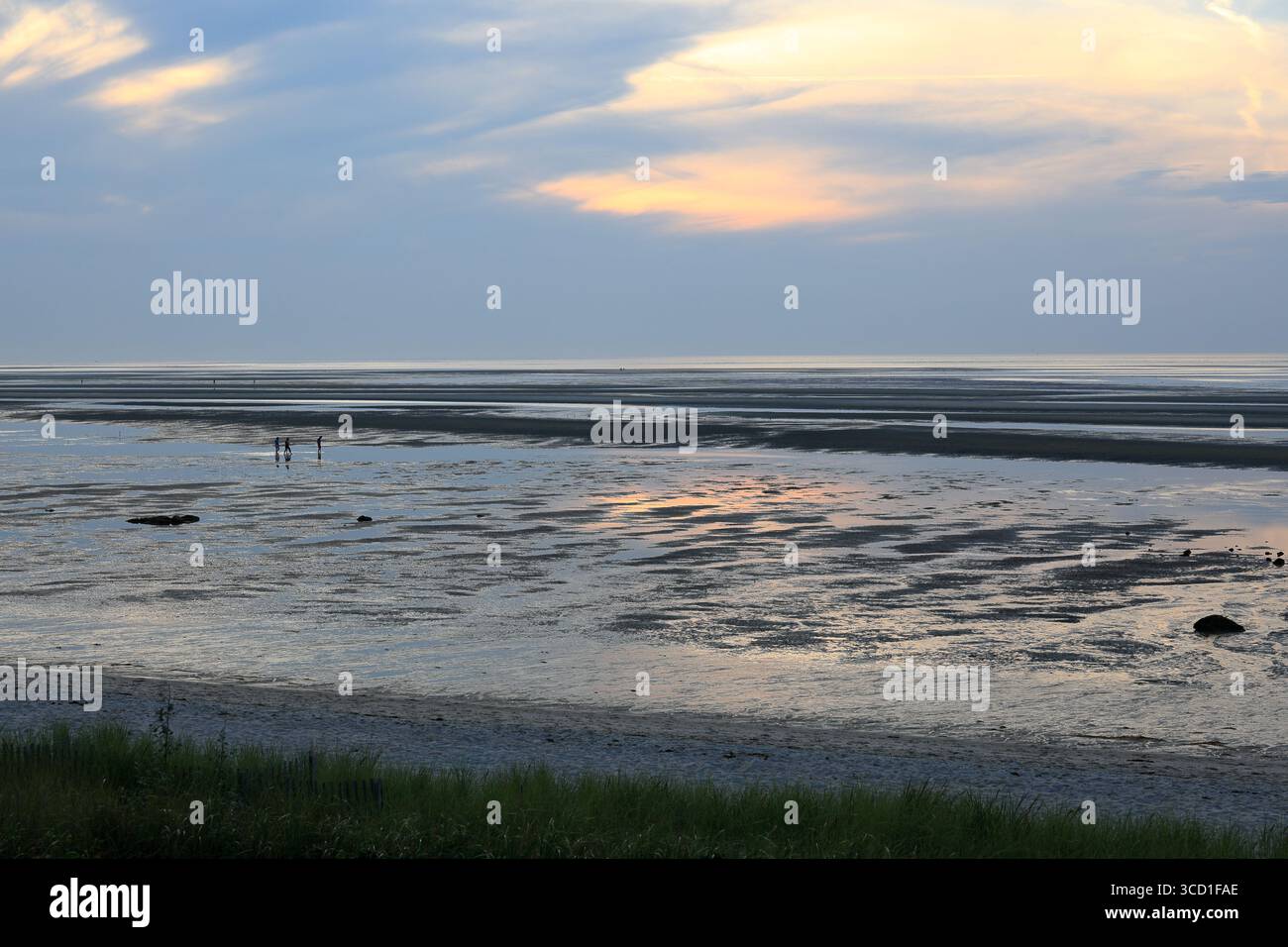 Brewster, ma, USA - 26 juillet 2025 - les amateurs de plage marchent dans les plaines de marée de Cape Cod Bay à marée basse Banque D'Images