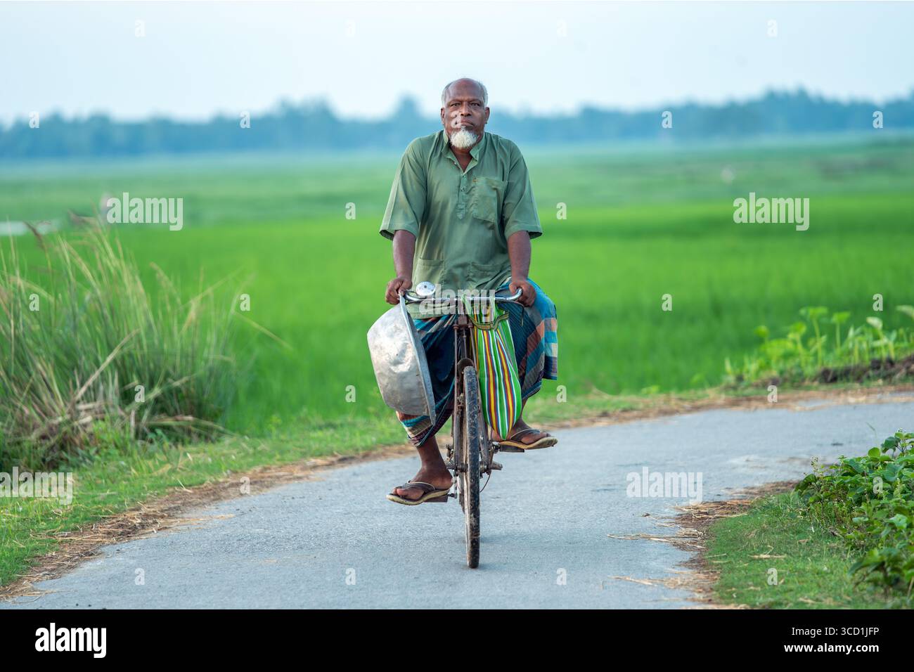 Bogura, Bangladesh - 18 septembre 2020 : vue d'un homme qui fait du vélo le long d'une étroite route asphaltée, avec des champs de riz verdoyants qui s'étendent à l'horizon. Banque D'Images