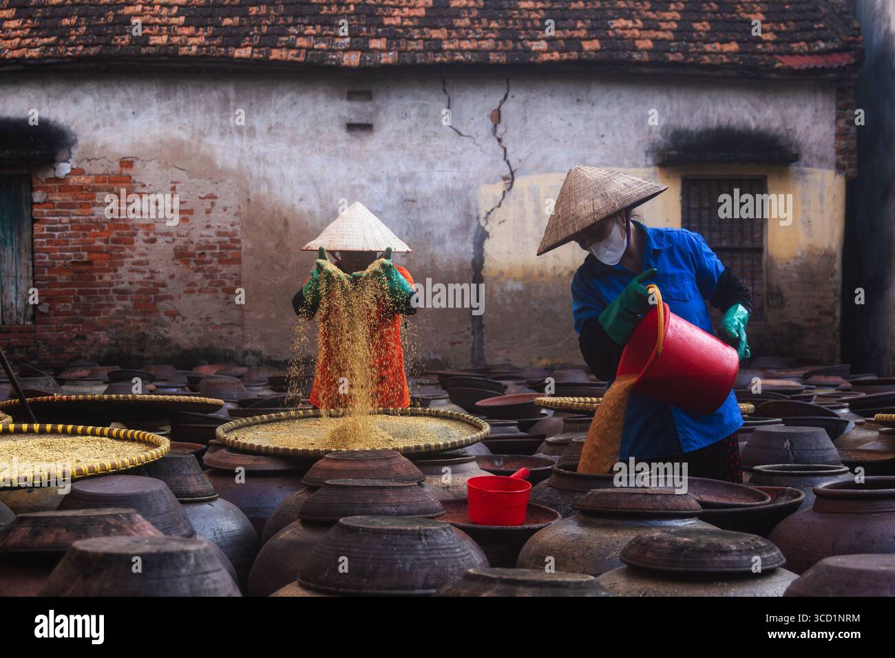 Bần Yên Nhân, Vietnam - 04 septembre 2024 : vue d'ouvriers en chapeaux coniques versant méticuleusement des grains dans de grands pots en argile, contrastant avec le R Banque D'Images
