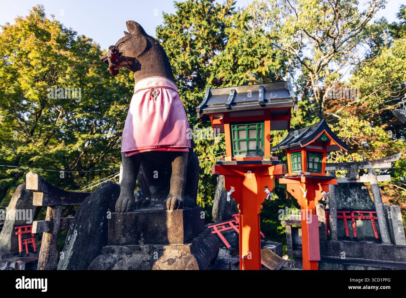 Gardien renard sacré surplombe les autels de pierre et les lanternes rouges près du sommet du mont Inari à Kyoto, Japon, au site du sanctuaire d'Ichinomine en pleine forêt Banque D'Images