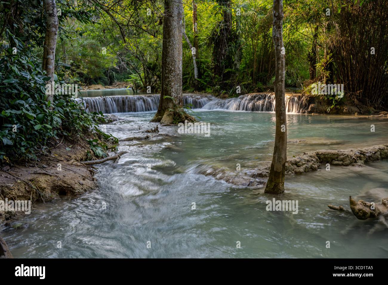 Ruisseau coulant et petites cascades entourés par la jungle luxuriante à Kuang si Falls près de Luang Prabang, Laos Banque D'Images