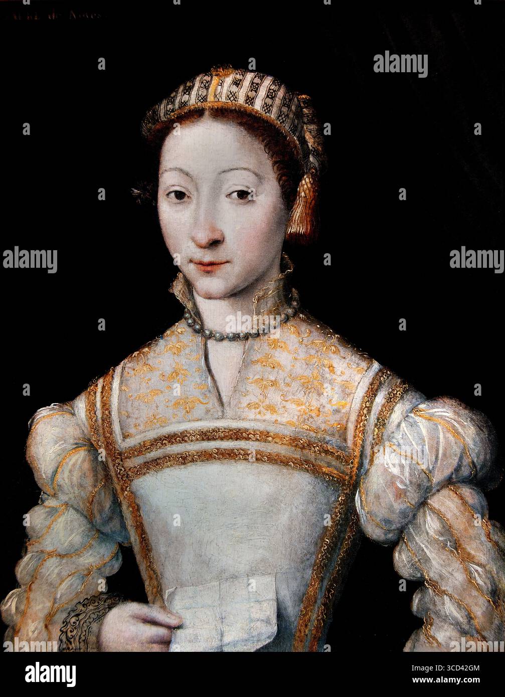 Portrait Laure de Noves peintre inconnu École française du XVIe siècle France Laure de Noves, également connue sous le nom de Laura de Noves, est la femme qui a inspiré les sonnets de Pétrarque dans sa 'Canzoniere'. Bien qu'elle ne soit pas définitivement identifiée, elle est largement présumée être la Laura de sa poésie. Elle était l'épouse du comte Hugues de Sade. Pétrarque l'aurait vue pour la première fois le 6 avril 1327, à Avignon. Elle mourut plus tard le 6 avril 1348, pendant la peste, un détail que Pétrarque nota dans ses écrits. Musée Chantilly , France , français, Banque D'Images