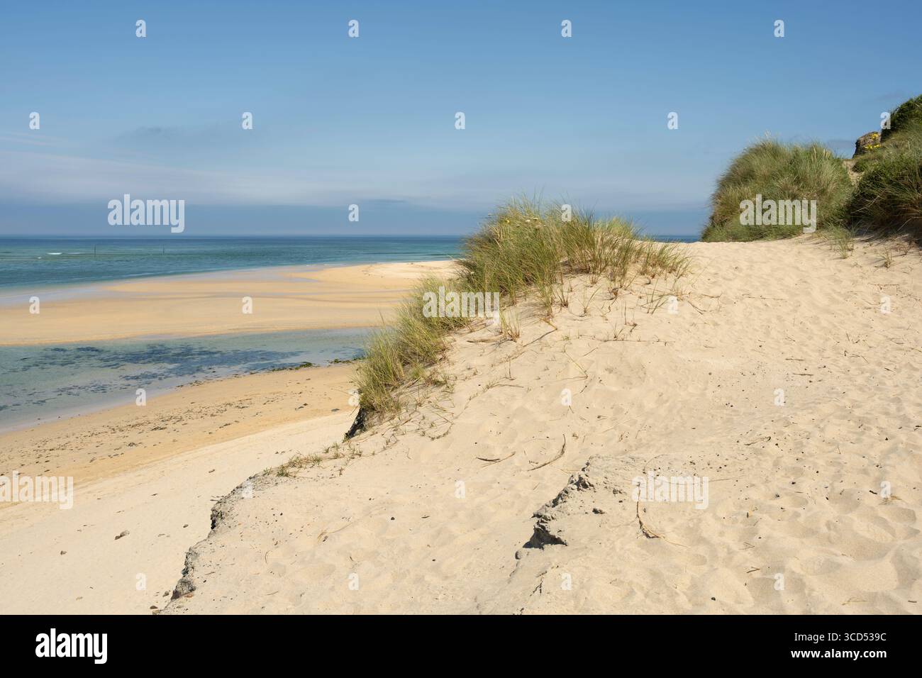 Sable blanc à Hayle Beach, Cornwall, Angleterre Banque D'Images