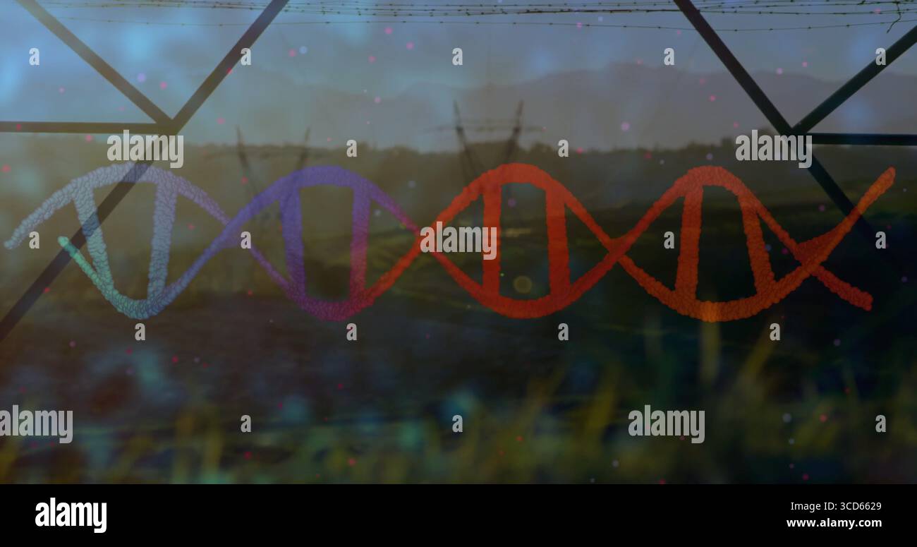 Hélice d'ADN numérique flottante dérivant à travers le champ rural, avec des pylônes de puissance et des herbes sauvages Banque D'Images