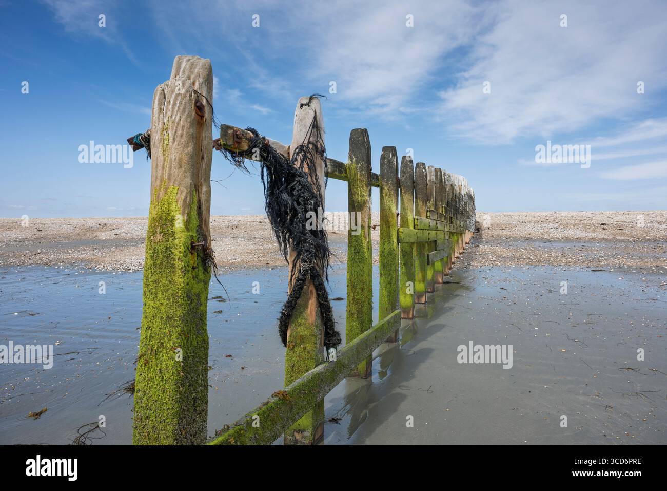 Groynes en bois altérés s'étendant le long d'une plage de sable Banque D'Images