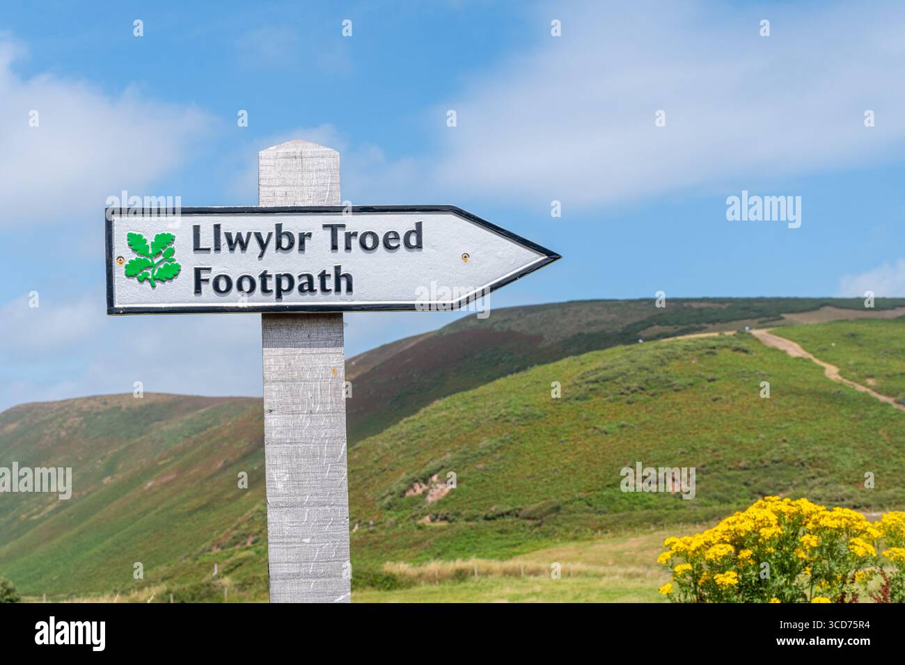 Panneau de sentier National Trust ou panneau de signalisation à Rhossili Bay sur la péninsule de Gower, pays de Galles du Sud, Royaume-Uni. Llwybr Troed Banque D'Images