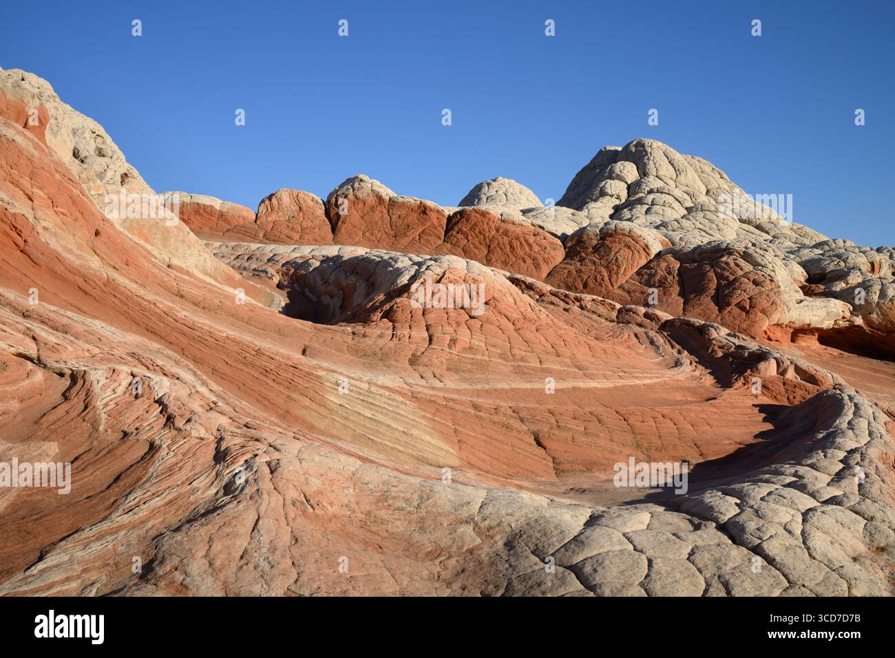 Formations de grès Navajo à White Pocket dans Vermillion Cliffs National Monument, Arizona. Banque D'Images