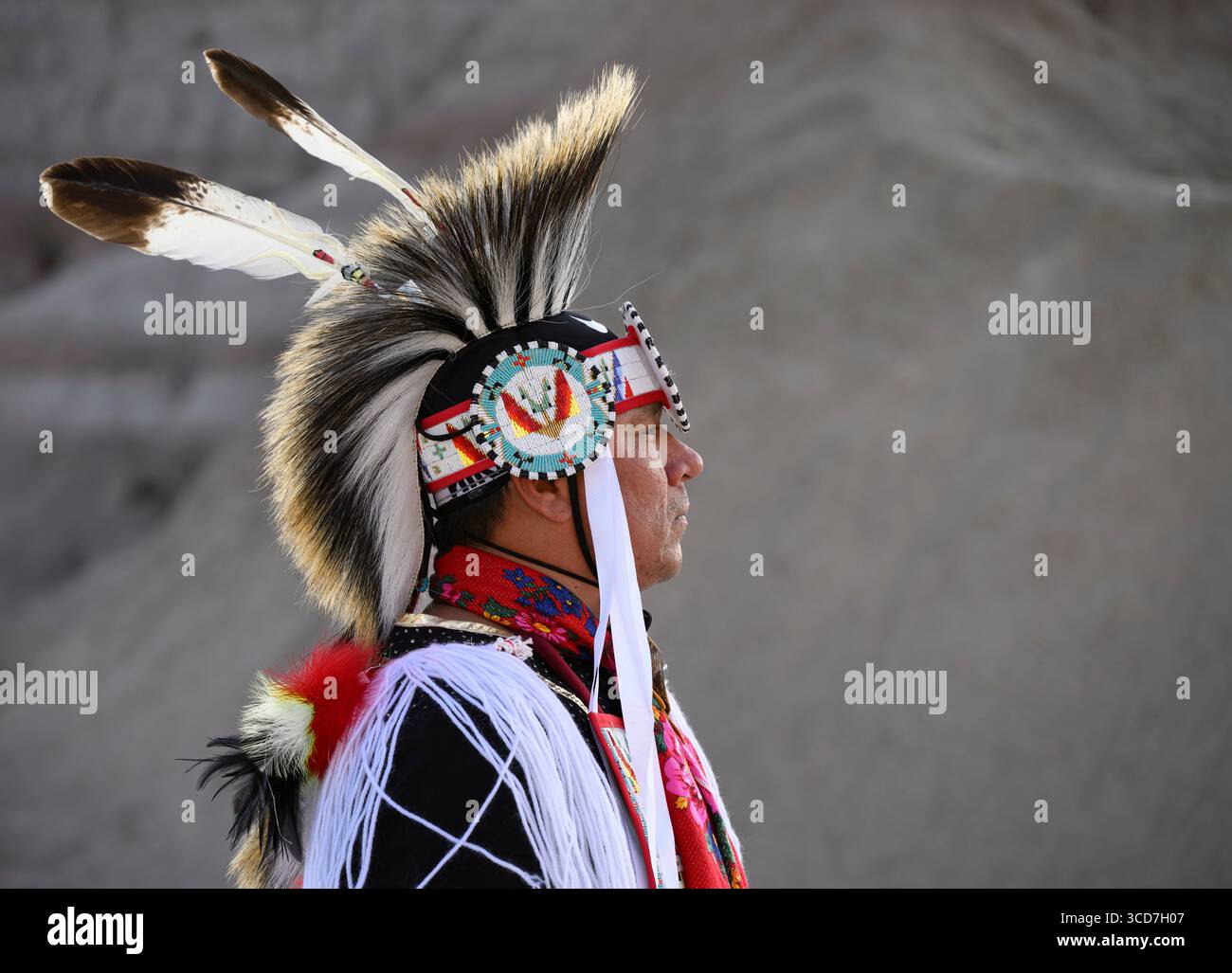 Buck Spotted Tail (Sicangu Lakota Oyate) dans ses regalia Grass Dance ; Badlands National Park, Dakota du Sud. Banque D'Images