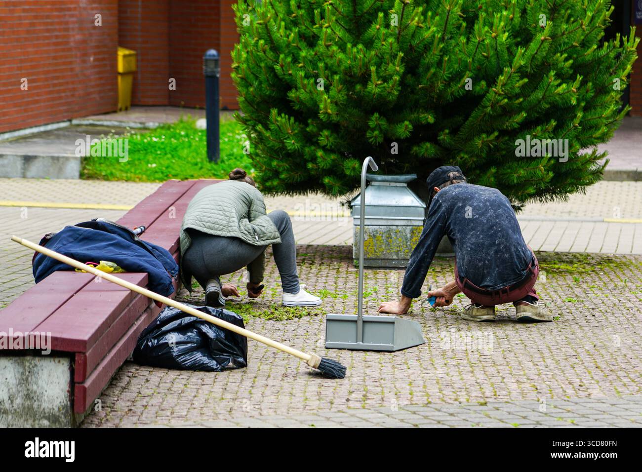 Deux personnes enlèvent les mauvaises herbes du trottoir dans un parc urbain, en utilisant des outils à main, un balai, une pelle à poussière et un sac poubelle pour le nettoyage Banque D'Images
