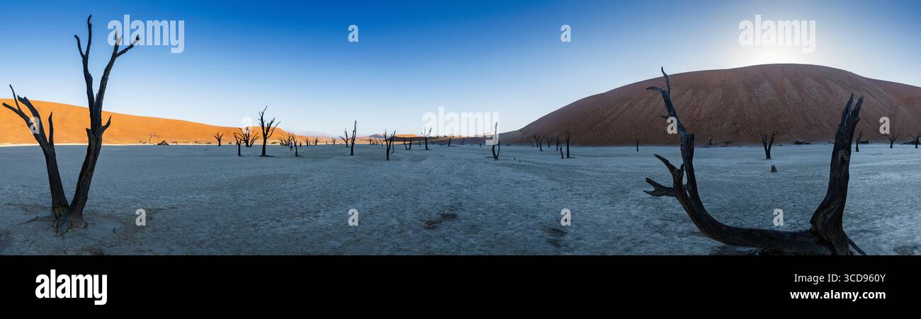 Vue panoramique Deadvlei pan et ses arbres morts Banque D'Images