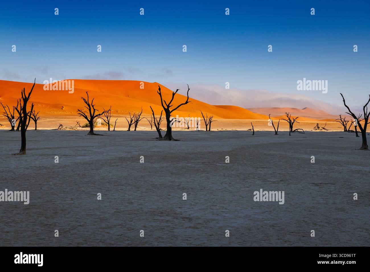 Les couleurs de la dune Deadvlei dans la lumière du matin Banque D'Images
