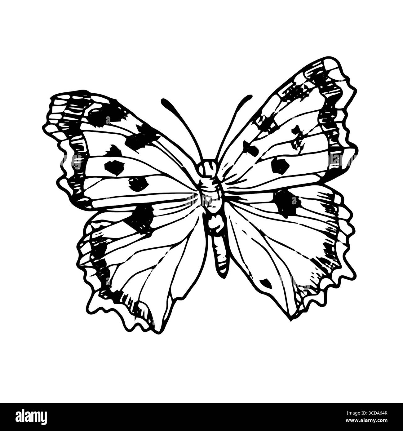 Papillon gracieux avec des ailes, croquis noir et blanc. Illustration vectorielle. Silhouette d'un insecte d'été, isolé sur un fond blanc. Le thème o Illustration de Vecteur