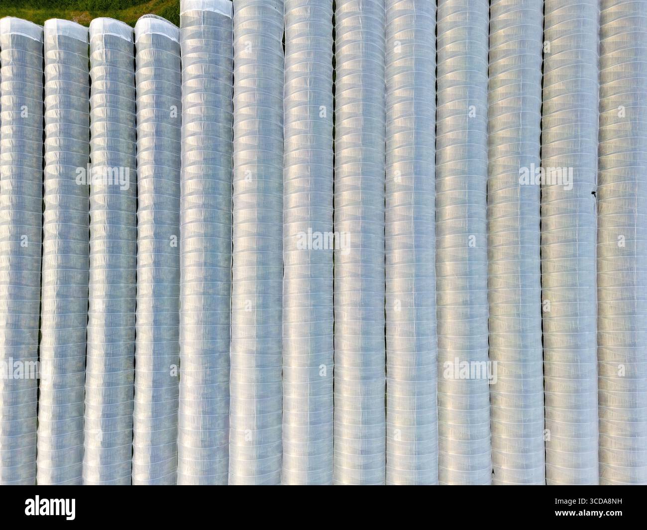 Vue aérienne de rangées de serres reflétant le ciel, créant un paysage éthéré et chatoyant sur fond de champs verdoyants, Innvik, Vestlan Banque D'Images